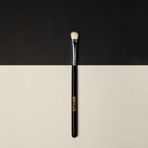 Eyeshadow brush